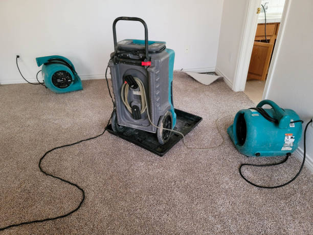 Best Flooded house restoration  in Piedmont, AL