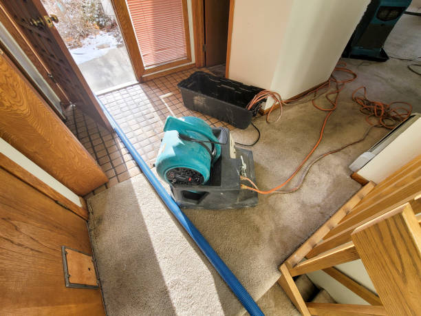 Best Water damage restoration near me  in Piedmont, AL