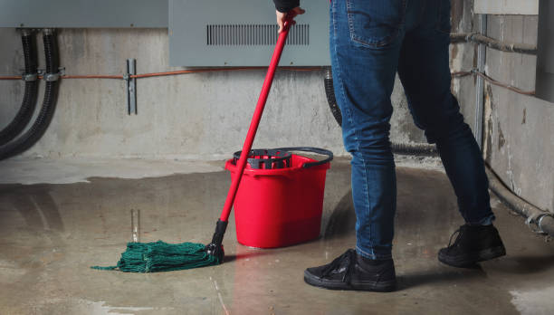 Best Basement water damage restoration  in Piedmont, AL