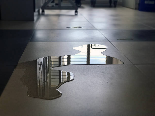 Best Professional water damage repair  in Piedmont, AL