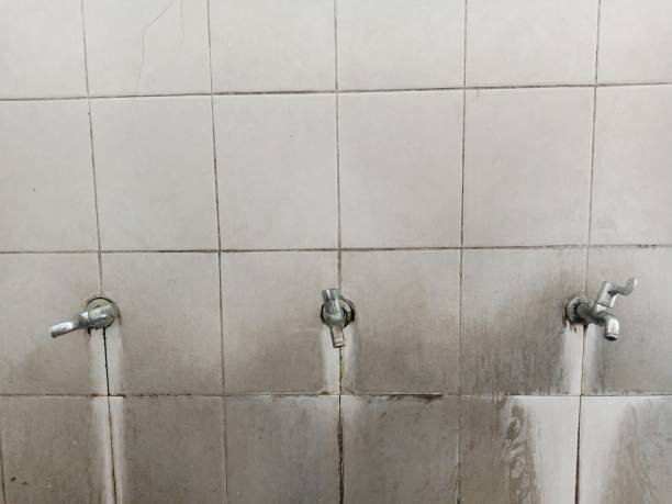 Best Water damage restoration near me  in Piedmont, AL