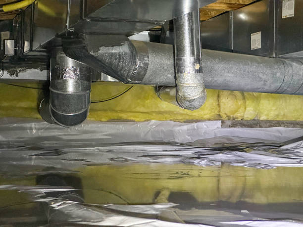 Best Water damage restoration services  in Piedmont, AL