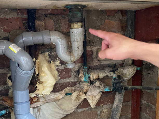 Best Mold removal after water damage  in Piedmont, AL